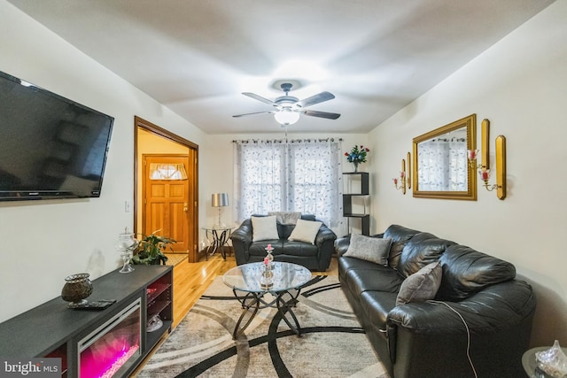 living room with ceiling fan and light hardwood / wood-style flooring