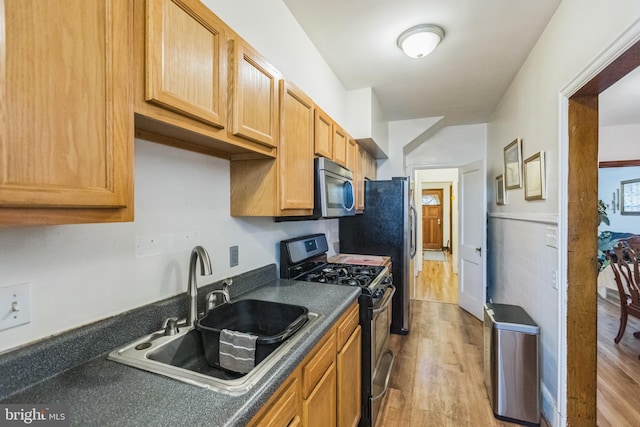 kitchen featuring sink, stainless steel appliances, and light hardwood / wood-style floors