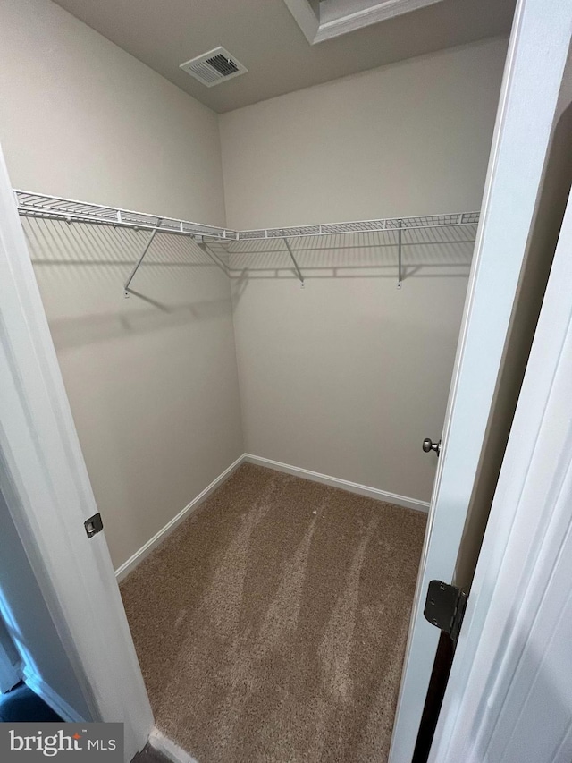 spacious closet featuring carpet flooring