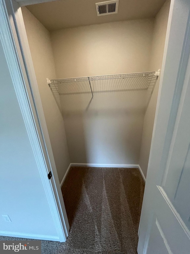 walk in closet featuring carpet