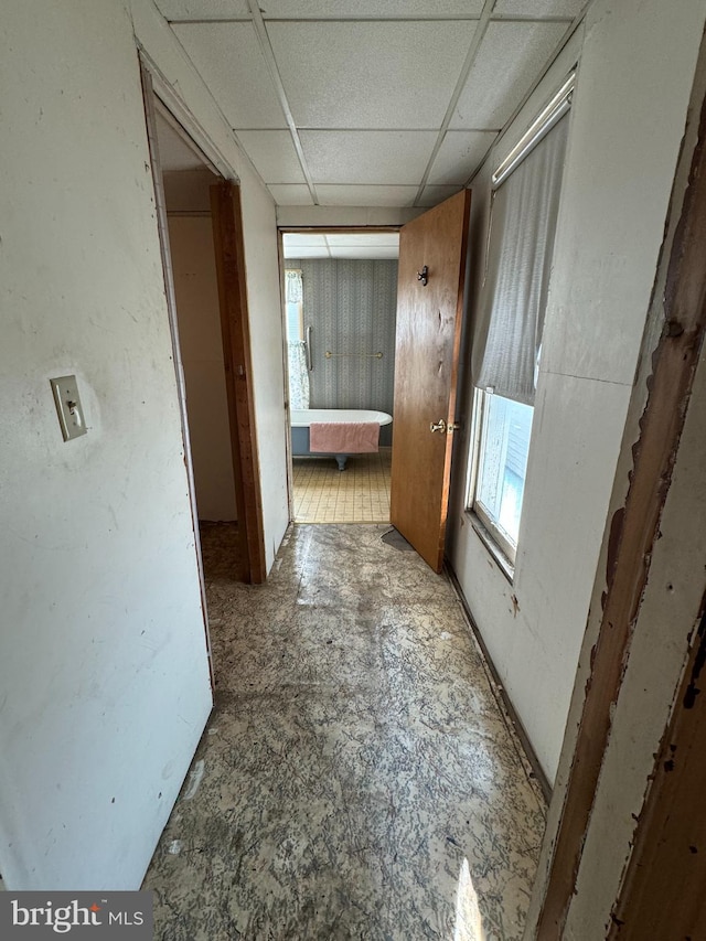 hall featuring a paneled ceiling