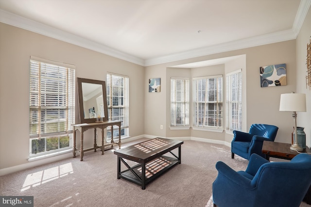 living room with carpet, a healthy amount of sunlight, and ornamental molding