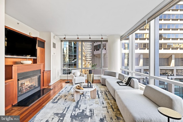 living room featuring wood-type flooring