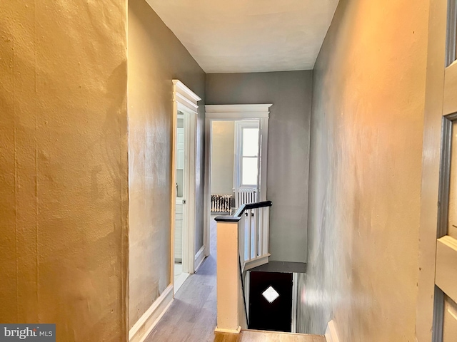 corridor with hardwood / wood-style flooring