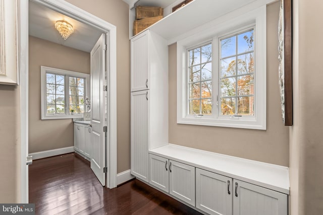 mudroom featuring a healthy amount of sunlight and dark hardwood / wood-style flooring