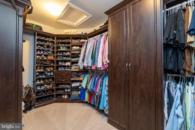 spacious closet featuring light carpet