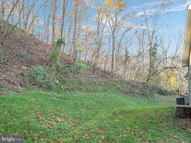 view of yard with central AC unit