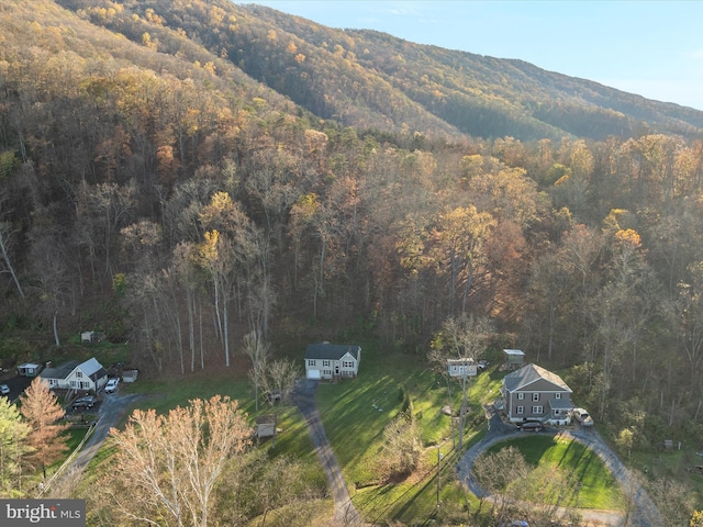 birds eye view of property with a mountain view