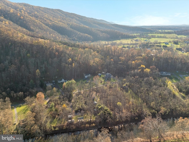 view of mountain feature