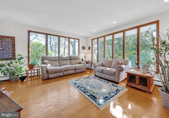 living room with light wood-type flooring and baseboard heating