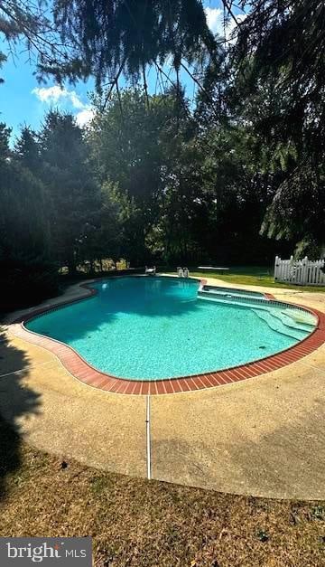 view of swimming pool featuring a diving board and a patio area