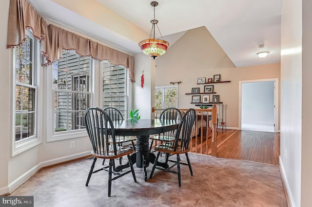 dining space featuring hardwood / wood-style floors