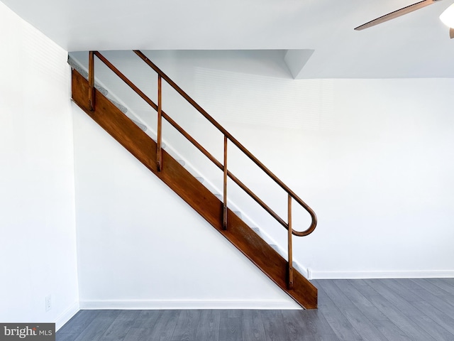 stairs with hardwood / wood-style floors