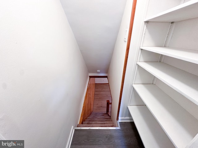 stairway with hardwood / wood-style flooring