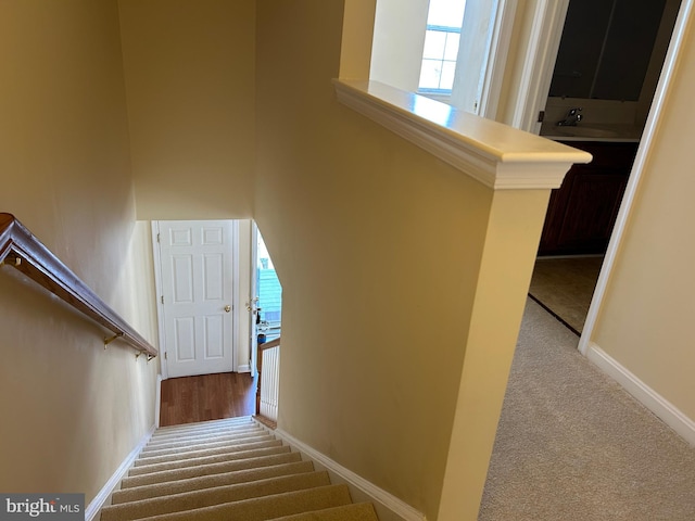 staircase with carpet flooring and sink