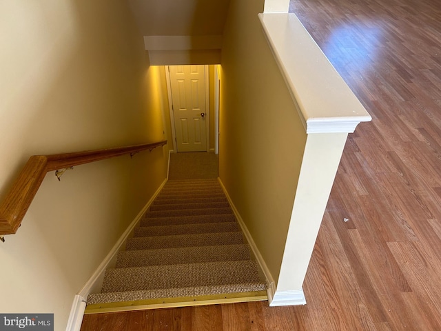 staircase featuring hardwood / wood-style floors