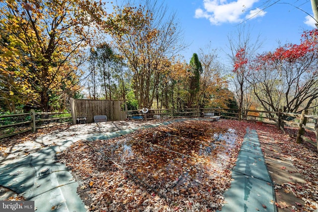 view of yard with a patio area