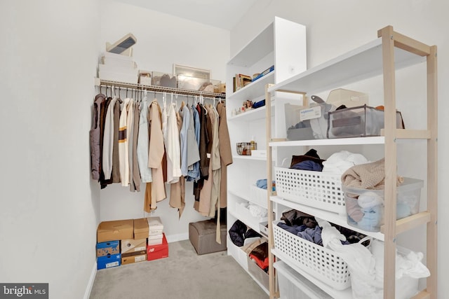 spacious closet with light colored carpet