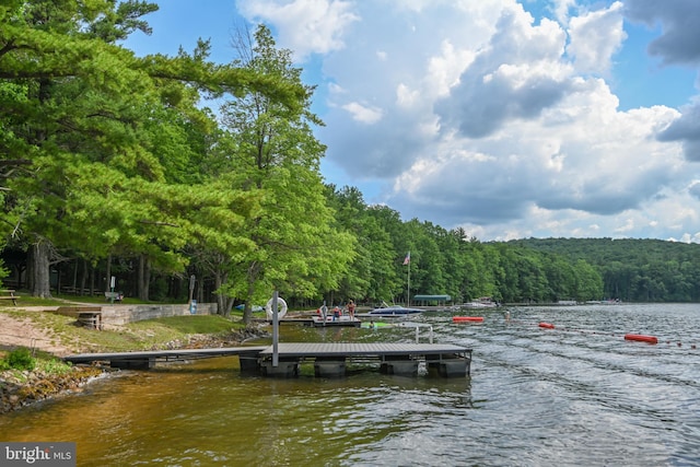 dock area with a water view