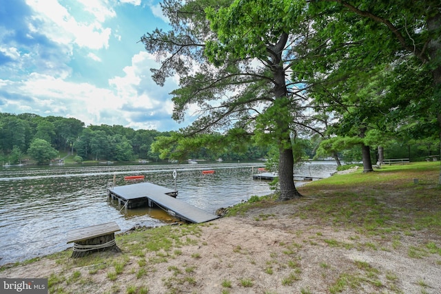 dock area featuring a water view