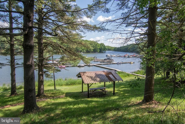 view of community featuring a lawn and a water view