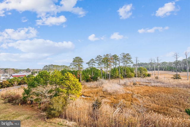 view of nature