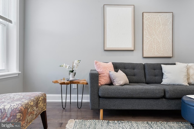 living room with hardwood / wood-style flooring