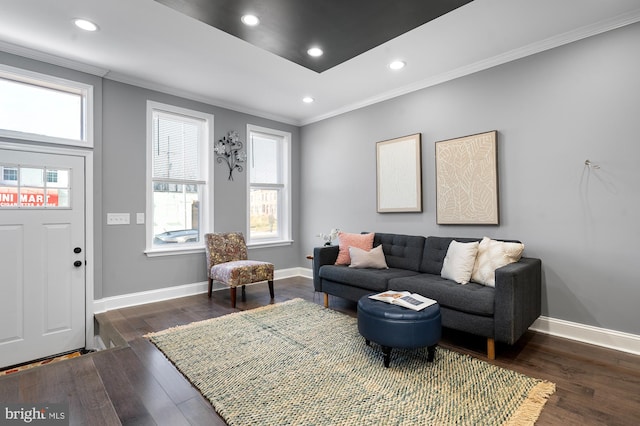 living room with crown molding and dark hardwood / wood-style flooring