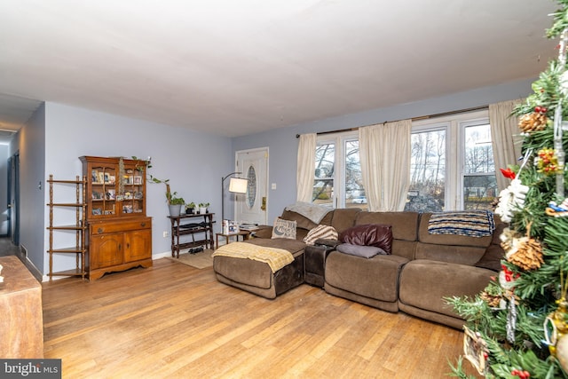 living room featuring light wood-type flooring