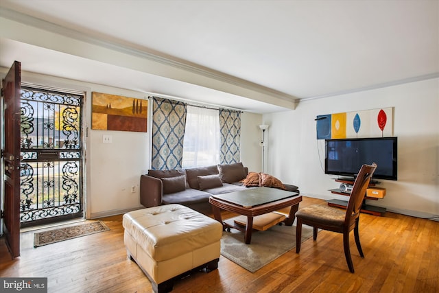 living room featuring hardwood / wood-style floors and crown molding