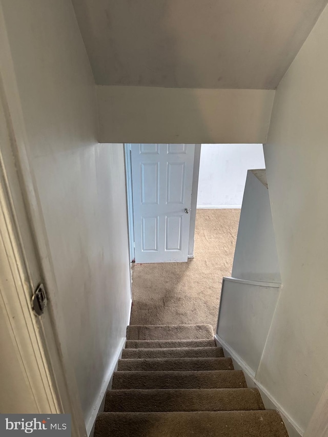 stairway featuring carpet flooring and lofted ceiling