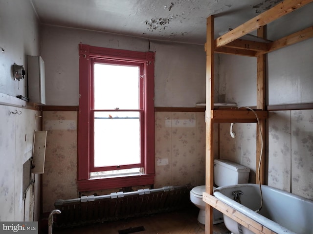 bathroom with a bath and toilet