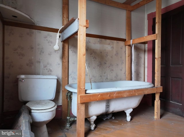 bathroom with wood-type flooring and toilet