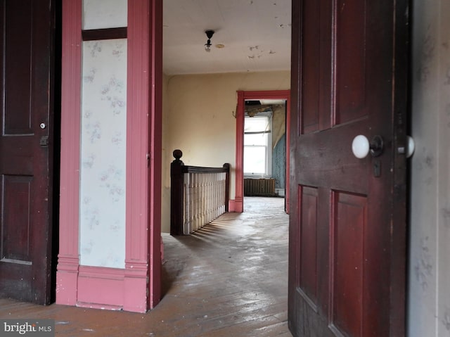 hallway featuring radiator and hardwood / wood-style floors