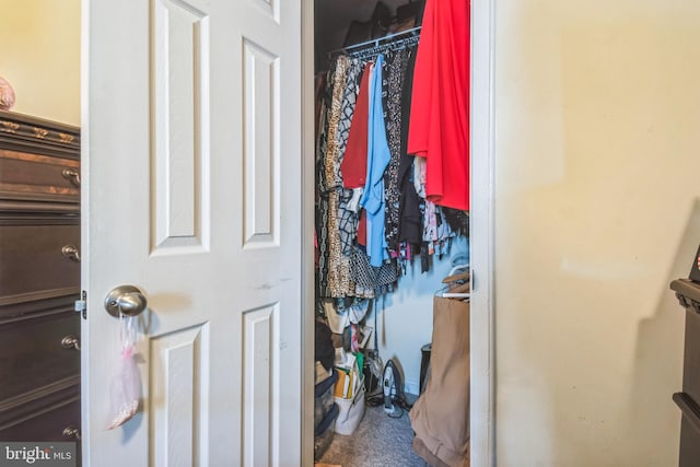 view of walk in closet