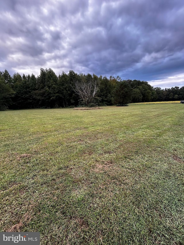 view of yard featuring a rural view