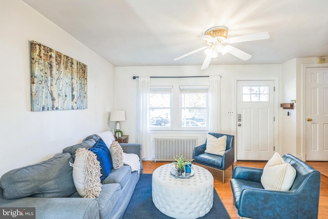 living room featuring hardwood / wood-style floors, radiator heating unit, ceiling fan, and plenty of natural light