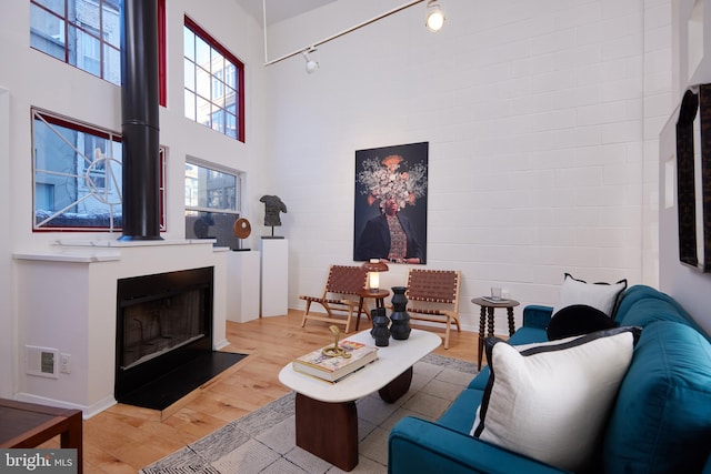 living room with hardwood / wood-style flooring, rail lighting, and a high ceiling