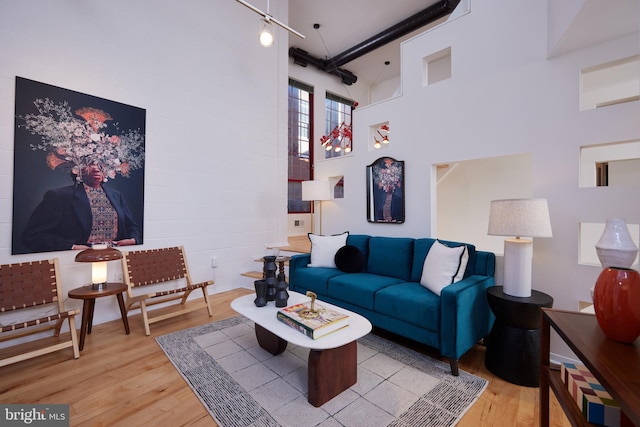 living room featuring light hardwood / wood-style flooring and a towering ceiling