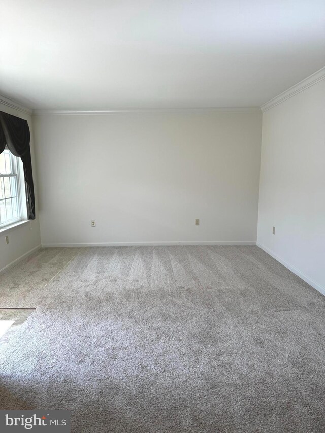 357 Winners Cir, Red Lion, PA 17356 - unfurnished room featuring ornamental molding, carpet floors, and baseboards