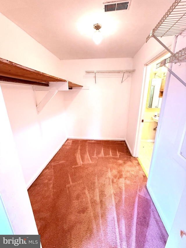 walk in closet featuring carpet floors