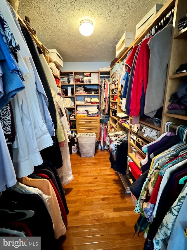 walk in closet featuring hardwood / wood-style floors