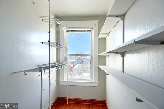 spacious closet featuring wood-type flooring