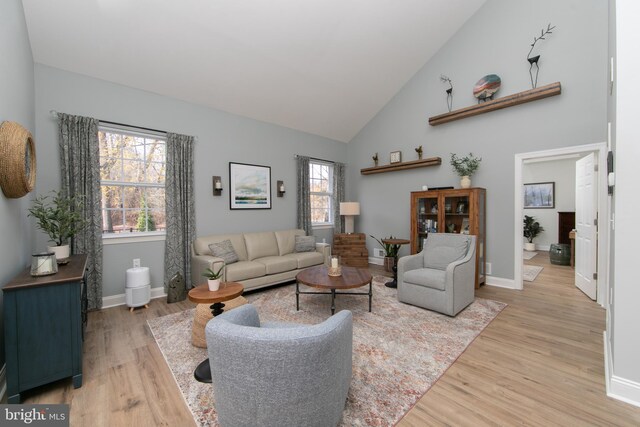 living room with high vaulted ceiling and light hardwood / wood-style flooring