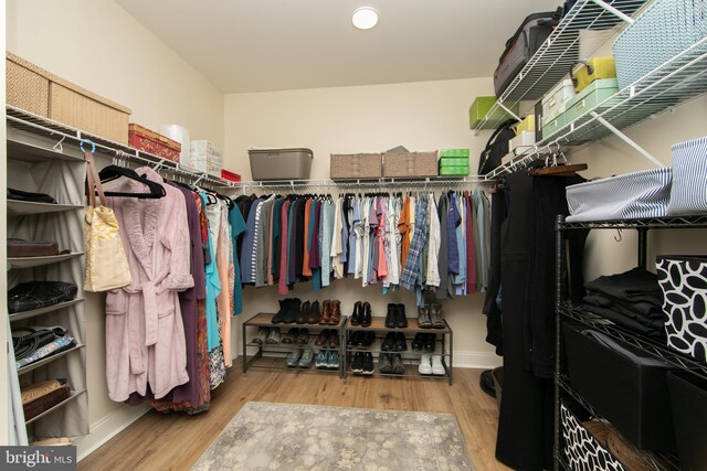 spacious closet with wood-type flooring