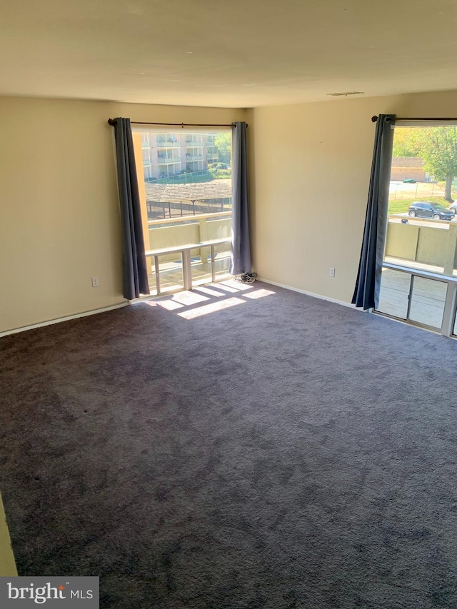 unfurnished room featuring carpet