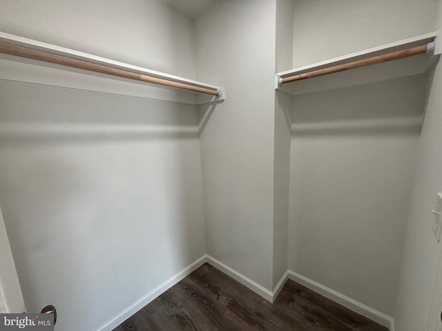 walk in closet featuring dark wood-type flooring