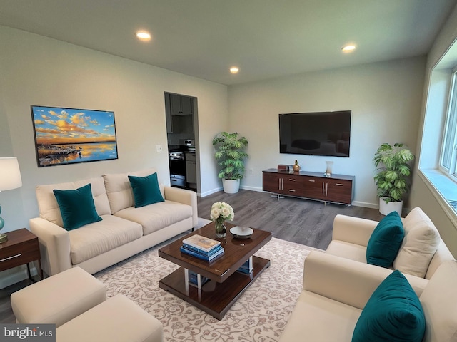 living room featuring hardwood / wood-style floors