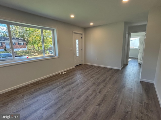 entrance foyer featuring a wealth of natural light and dark wood-type flooring