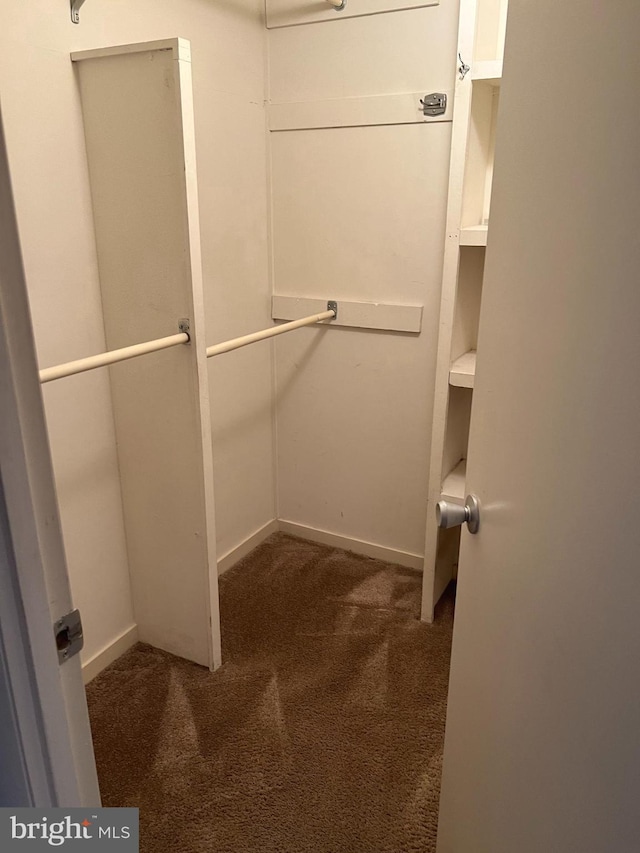 spacious closet featuring dark colored carpet